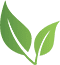 leaf-heading